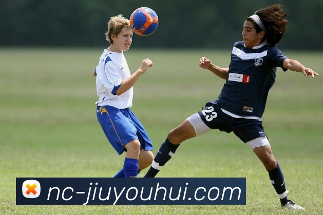 九游会J9官网APP 封面图